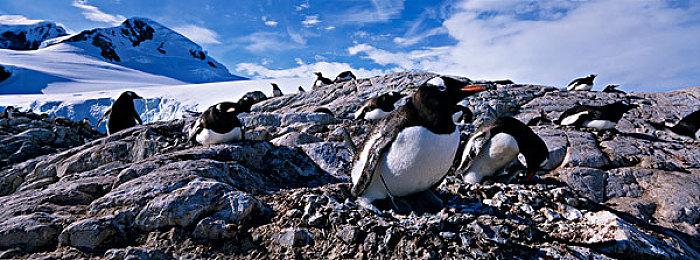 《古惑狼4：时机已到》上线Steam 10月19日正式发售